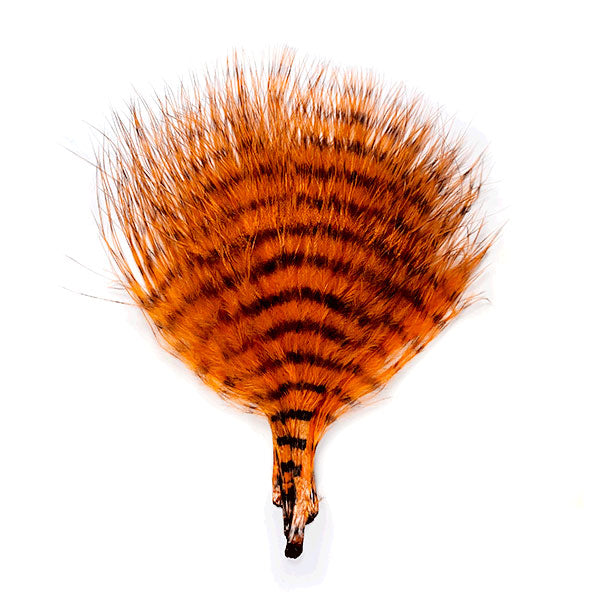 MFC Mini Barred Marabou