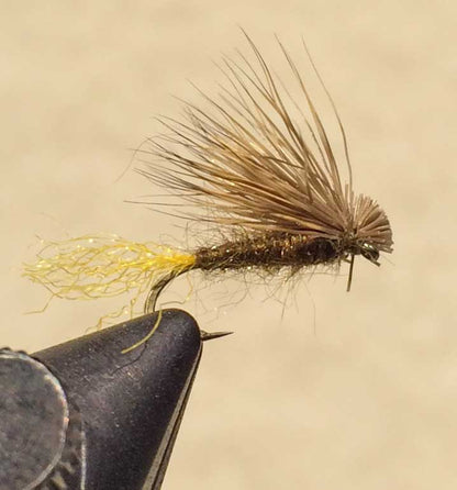 X Caddis - Mult Colors