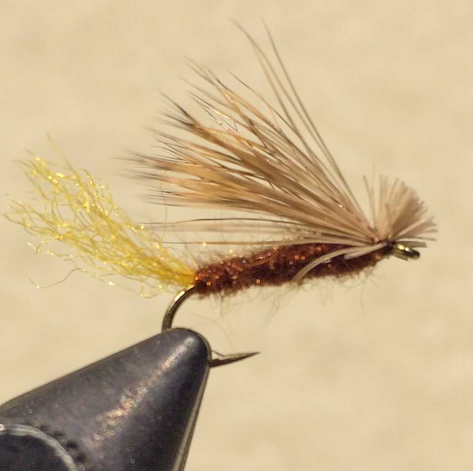 X Caddis - Mult Colors