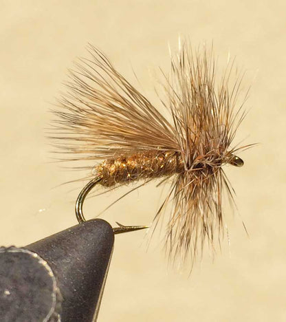 Caddis Variant - Multiple Colors