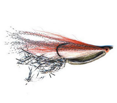 Rattle Back Minnow - Multiple Variations