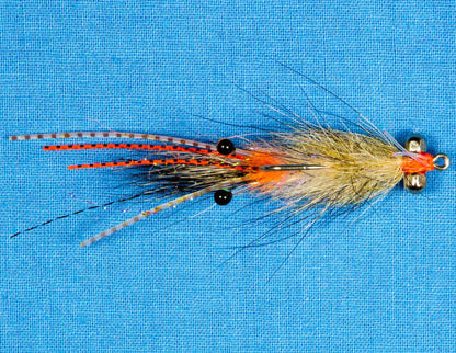 EP Spawning Shrimp Coyote