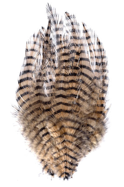 MFC Barred Strung Saddle Hackle