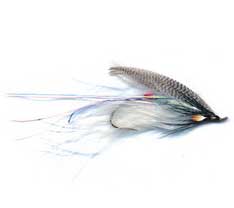 Alewife Spey