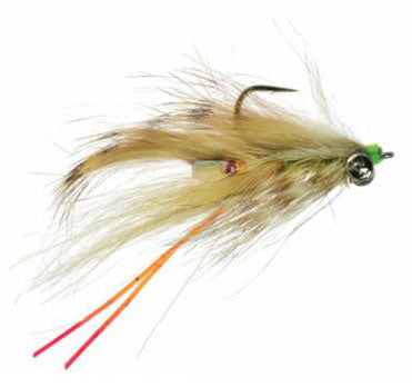 Umpqua Da Tingum Shrimp