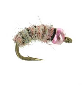 FoJays Tung Bead Rainbow Sowbug