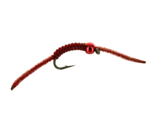 FoJays Sunburned Worm Red