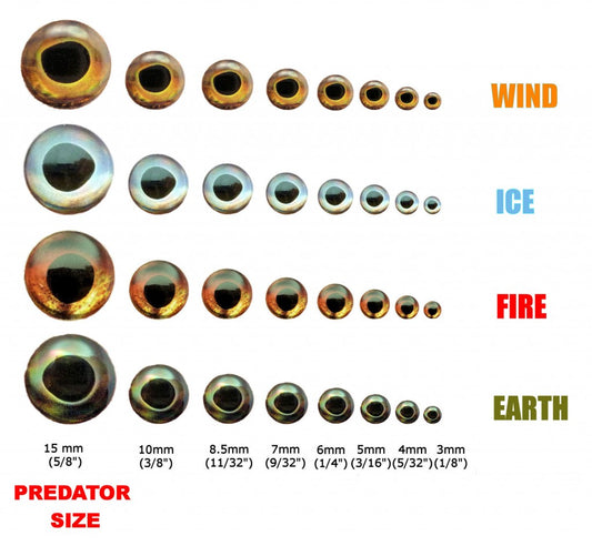 Fish Skull Living Eyes