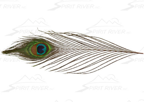 Spirit River UV2 Peacock Eyes