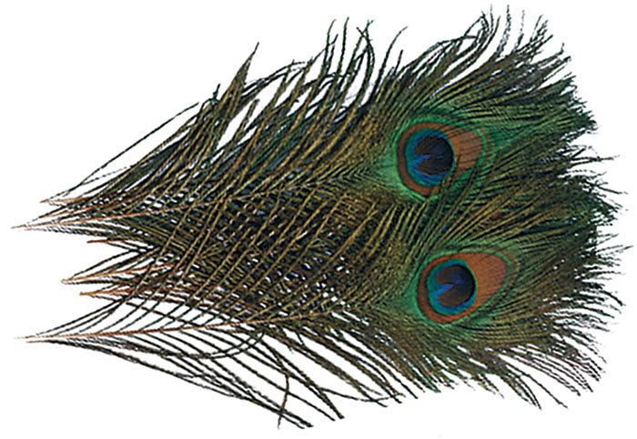 Peacock Eyes