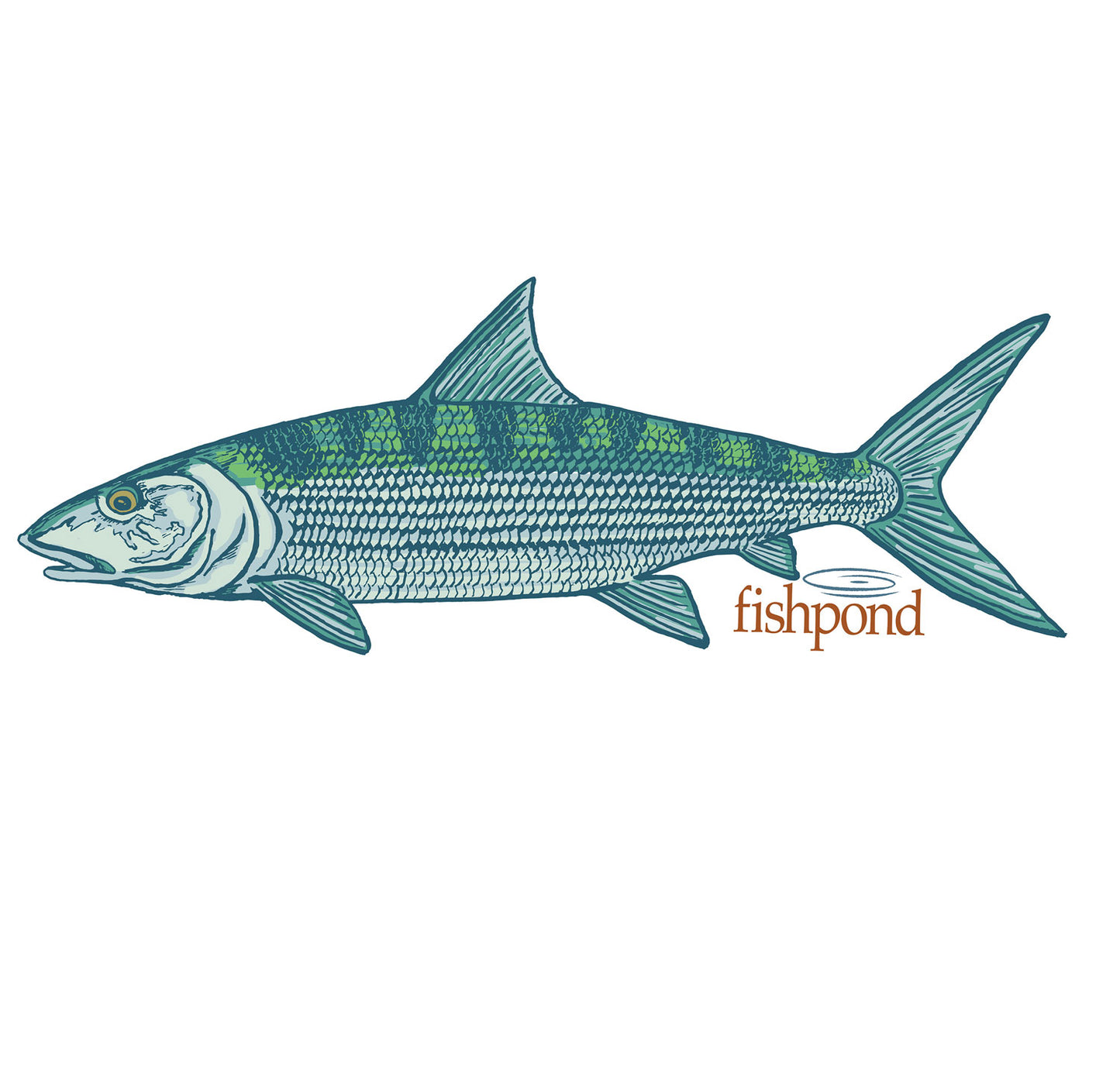 Fishpond Phantom Sticker - 6"