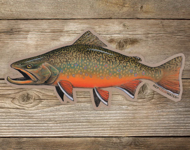 RepYourWater Fall Brookie Sticker