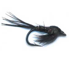 Steelhead Pheasant Tail Stone