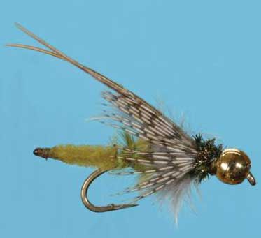 BH Extended Body Caddis Pupa - Mult Colors