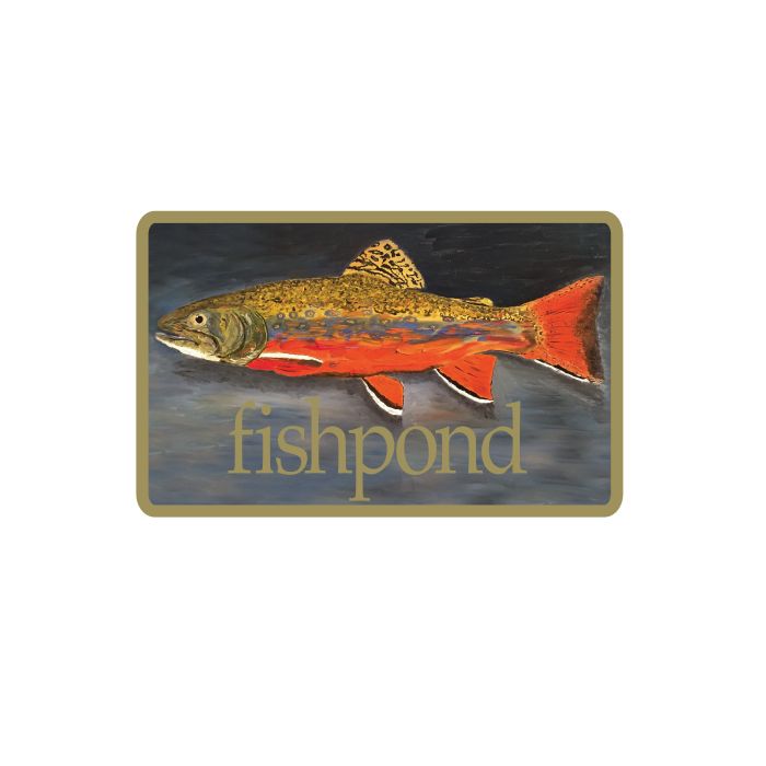 Fishpond Brookie Sticker