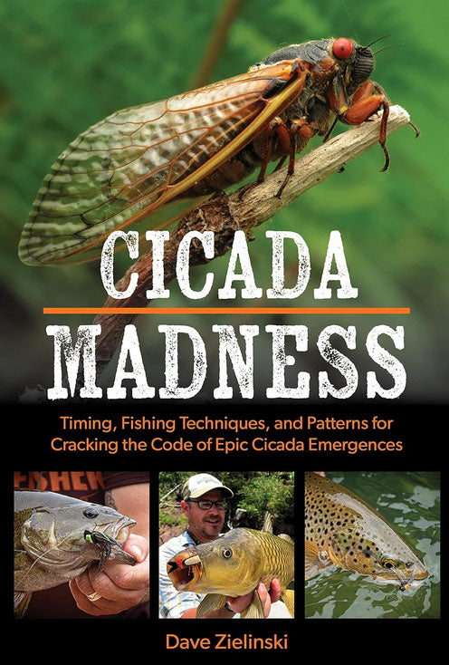 Cicada Madness