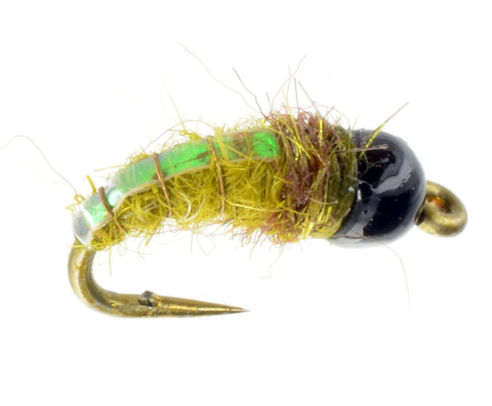 Tungsten Electric Caddis