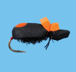 Foam Beetle