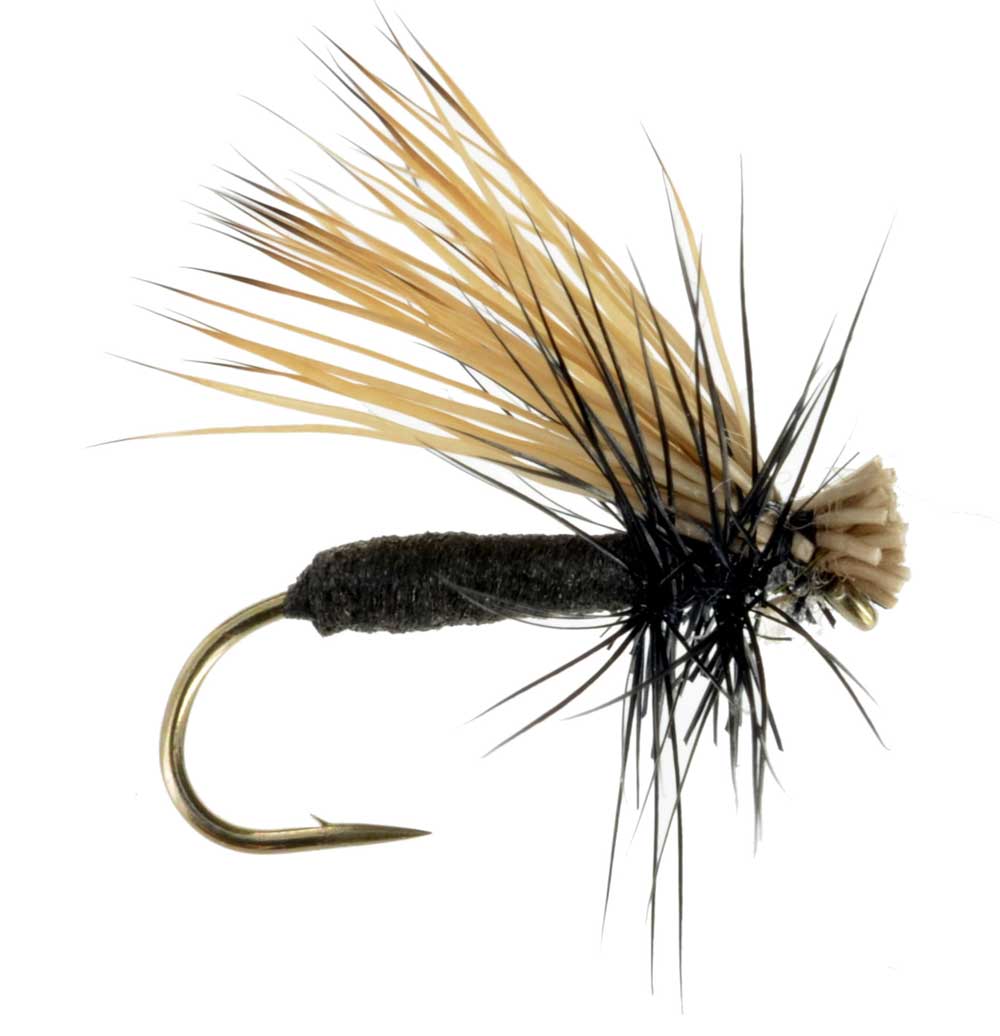 Black Foam Caddis