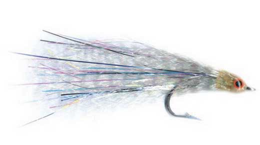 Glass Minnow