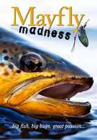 Mayfly Madness