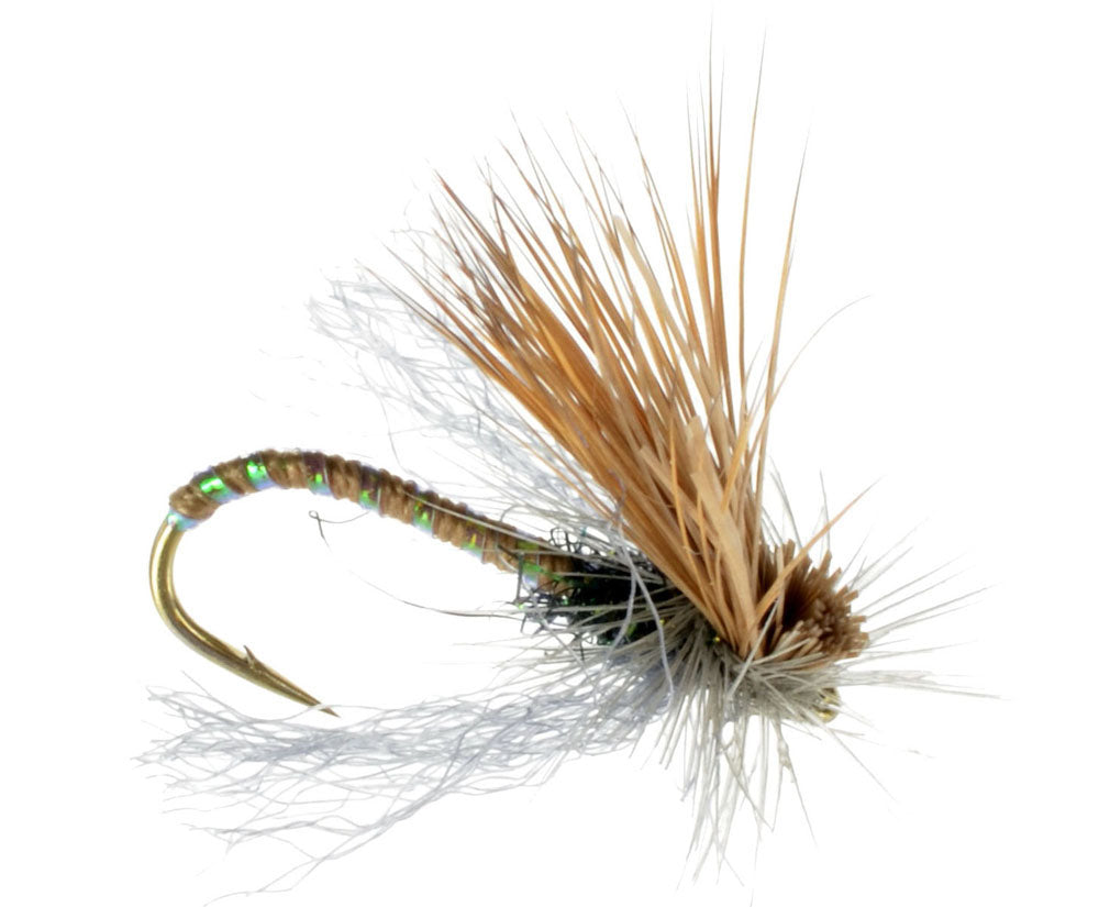 Missing Link Caddis