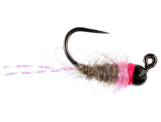 Pink Squirrel Jigged