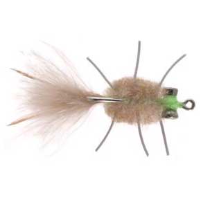 Umpqua Rag Head Crab