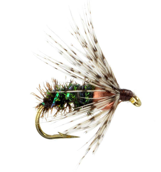 BH Soft Hackle - Peacock