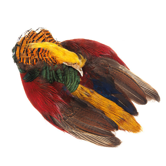 Wapsi Golden Pheasant Skin